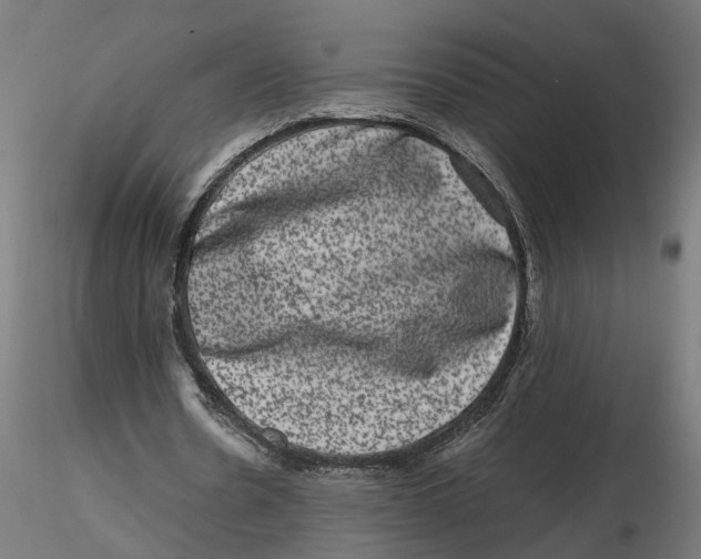 X0000116780530201001071239