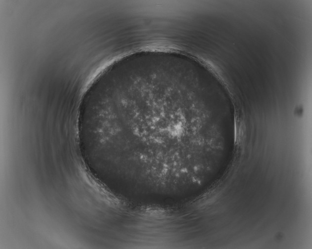 X0000116780531201001071239