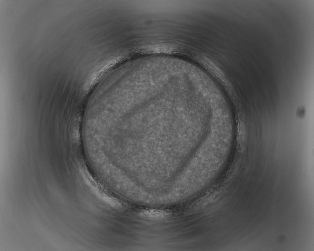 X0000116780537201001071239