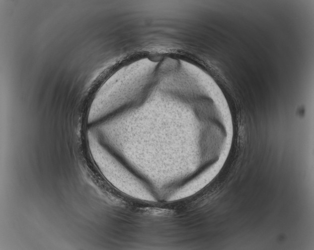 X0000116780539201001071239