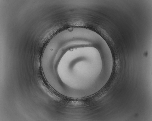 X0000116780541201001071239