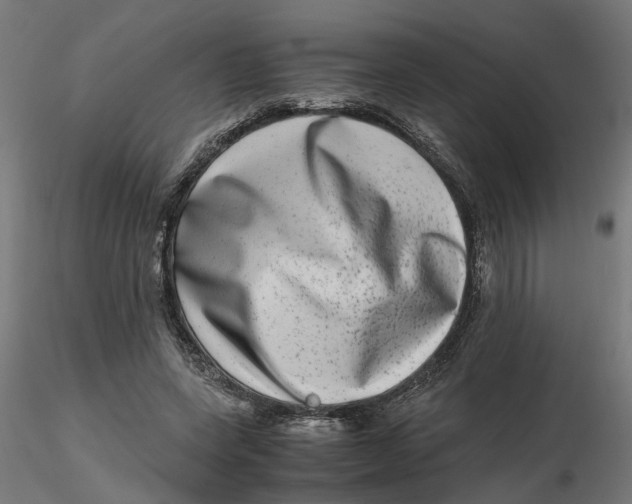 X0000116780543201001071239