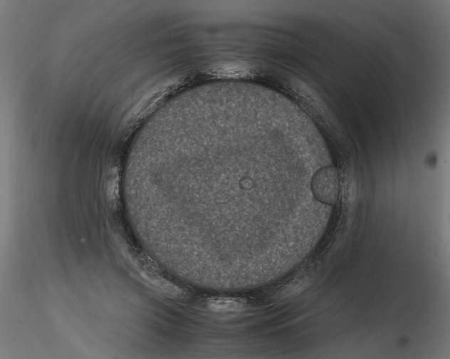 X0000116780549201001071239