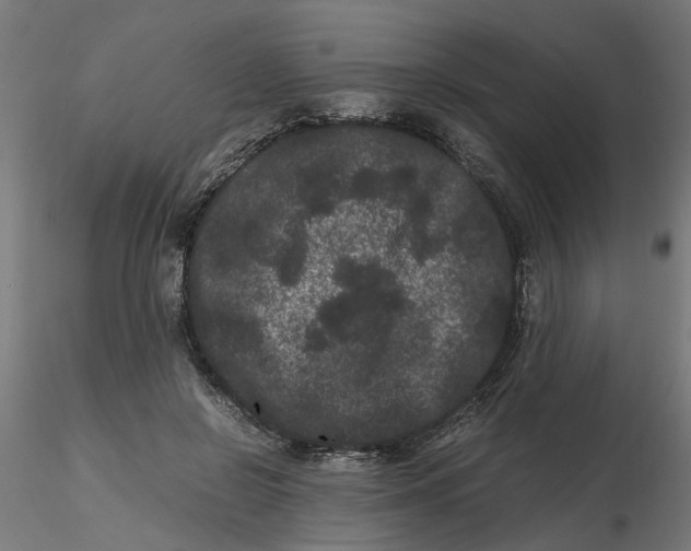 X0000116780550201001071239