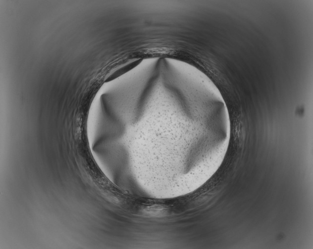 X0000116780551201001071239