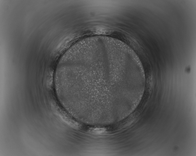 X0000116780554201001071239