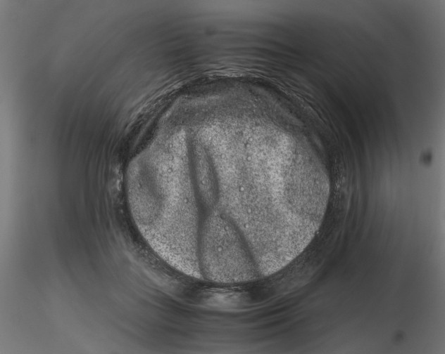 X0000116780555201001071239