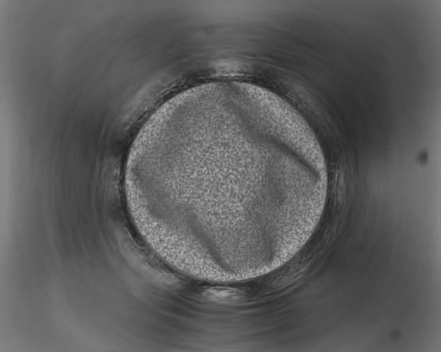 X0000116780557201001071239