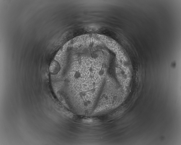 X0000116780561201001071239