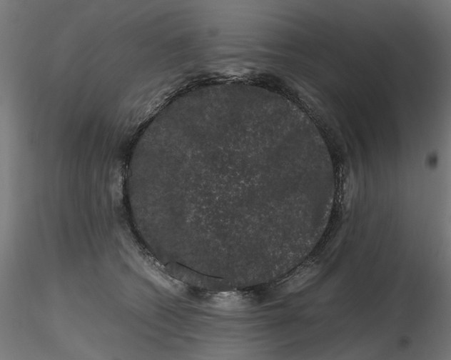 X0000116780562201001071239