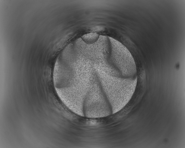 X0000116780565201001071239