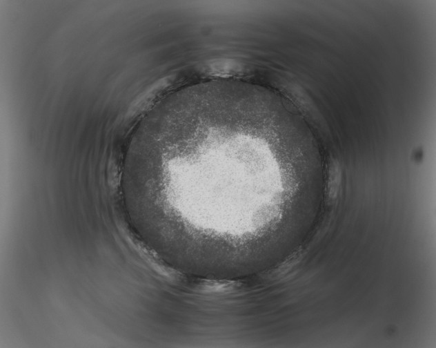 X0000116780569201001071239