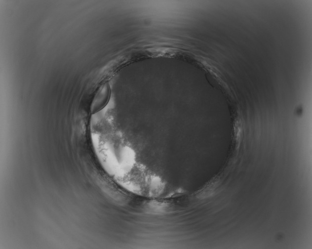 X0000116780570201001071239