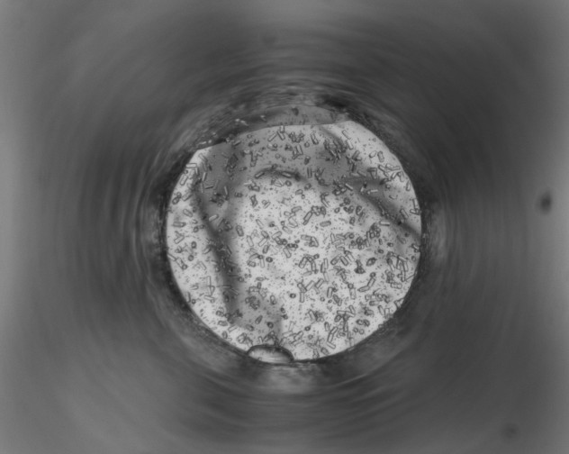 X0000116780571201001071239