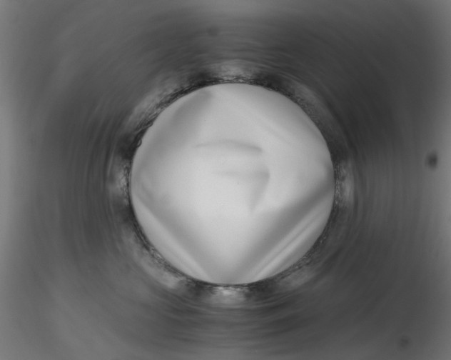 X0000116780573201001071239