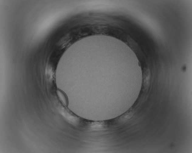 X0000116780574201001071239