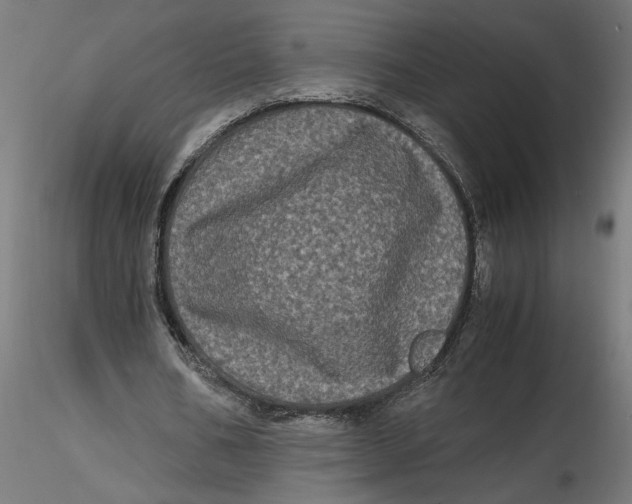 X0000116780578201001071239