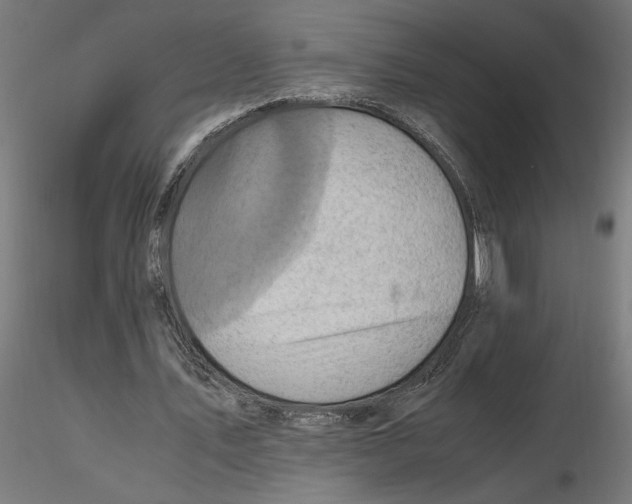 X0000116780579201001071239