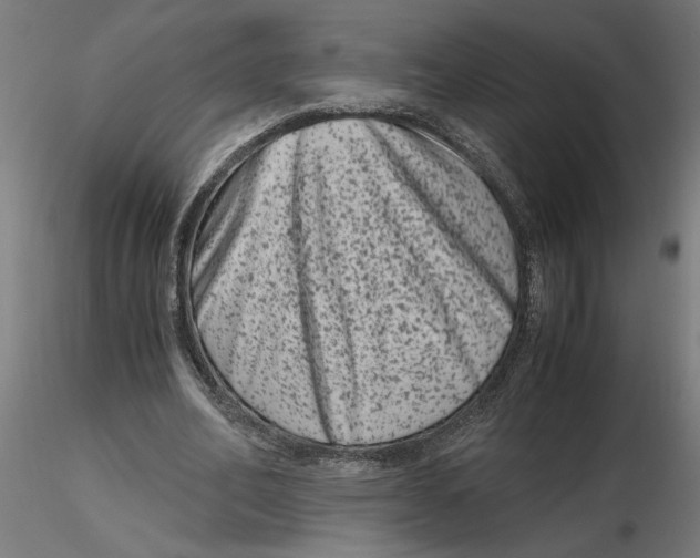 X0000116780582201001071239