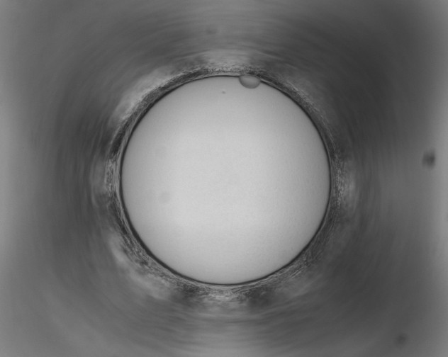 X0000116780583201001071239