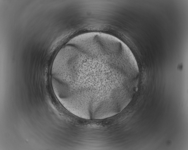 X0000116780586201001071239