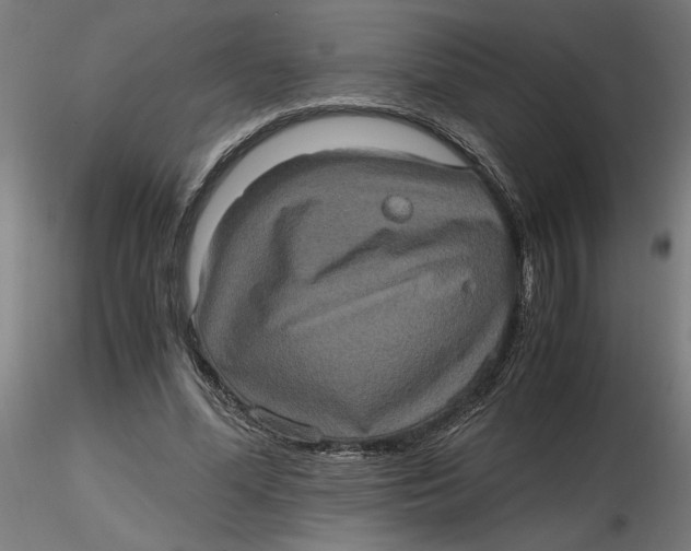 X0000116780588201001071239