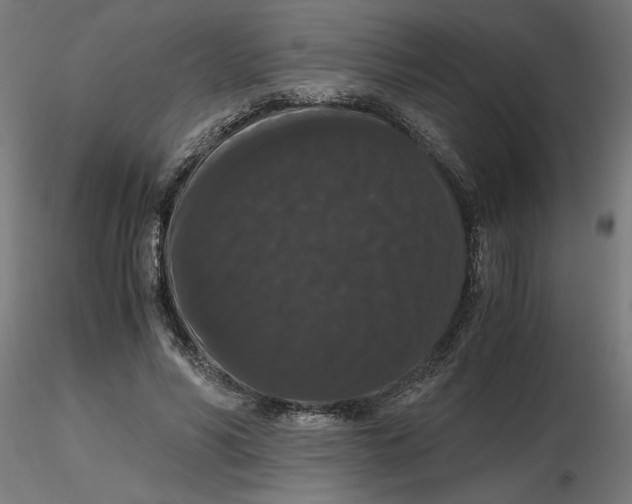 X0000116780590201001071239