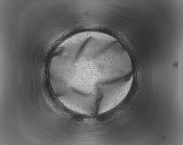 X0000116780591201001071239