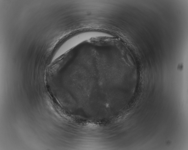 X0000116780592201001071239