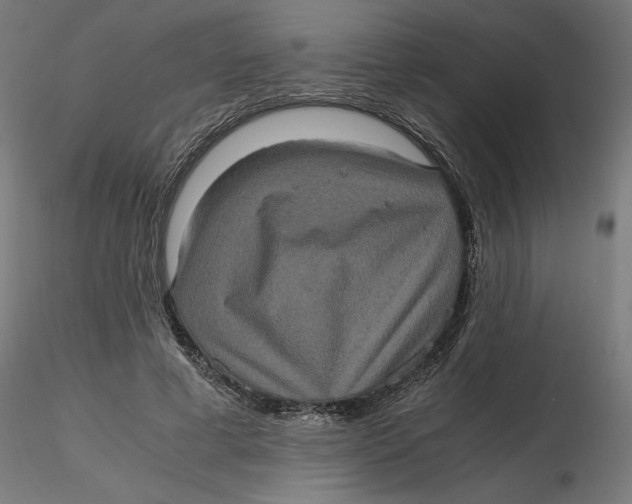 X0000116780593201001071239