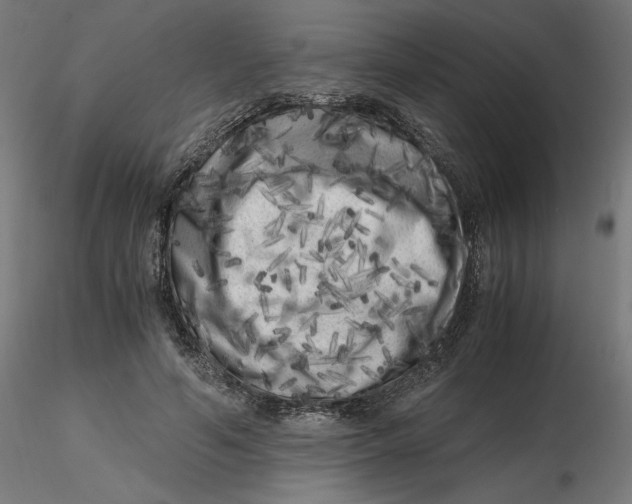 X0000116780594201001071239