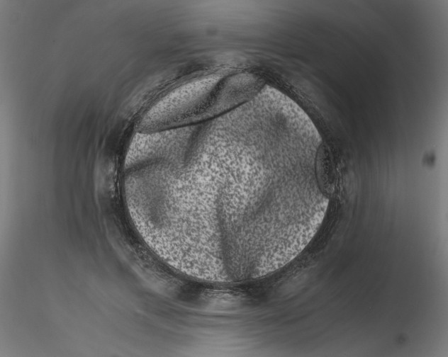 X0000116780597201001071239