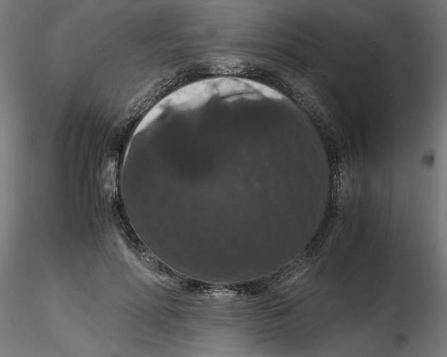 X0000116780598201001071239