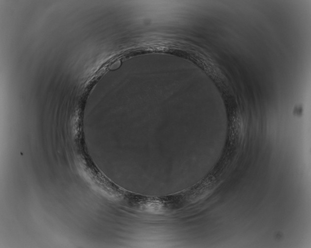 X0000116780600201001071239