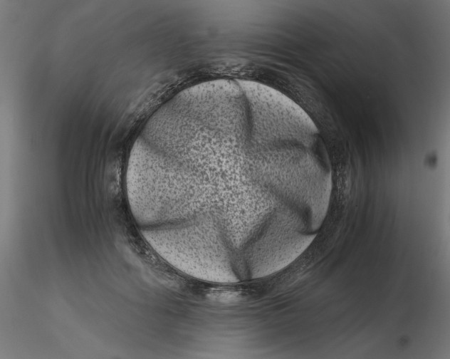 X0000116780602201001071238