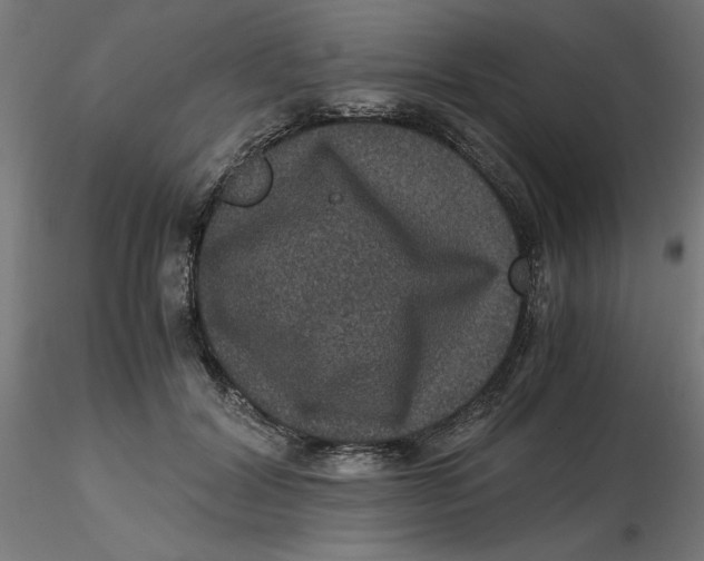 X0000116780604201001071238