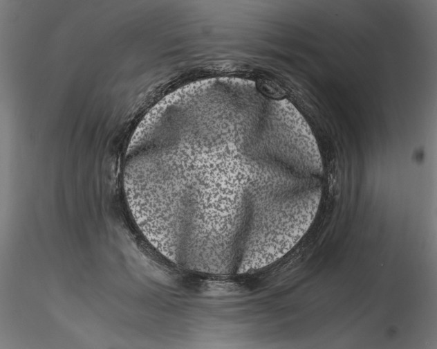 X0000116780605201001071238