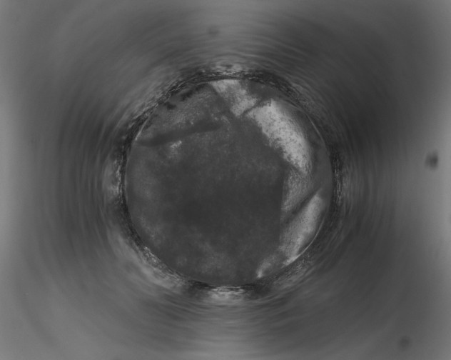 X0000116780606201001071238