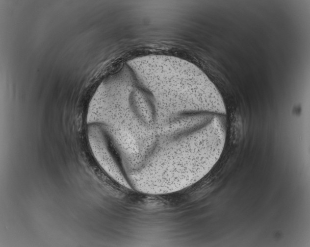 X0000116780608201001071238