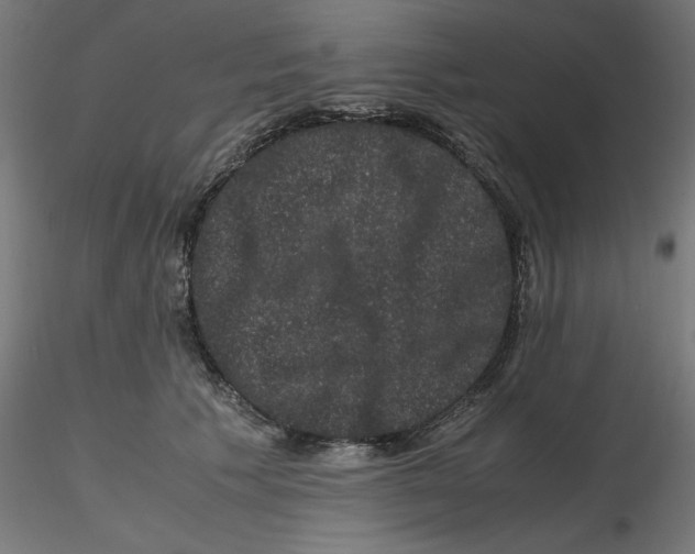 X0000116780609201001071238