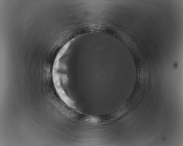 X0000116780610201001071238