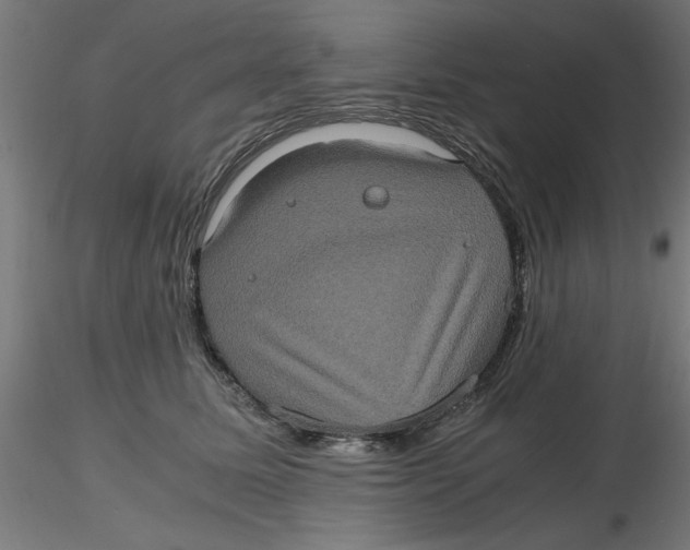 X0000116780611201001071238