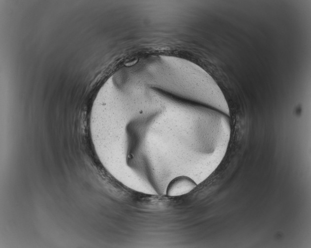 X0000116780612201001071238