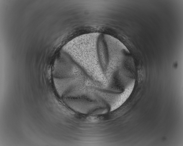 X0000116780613201001071238