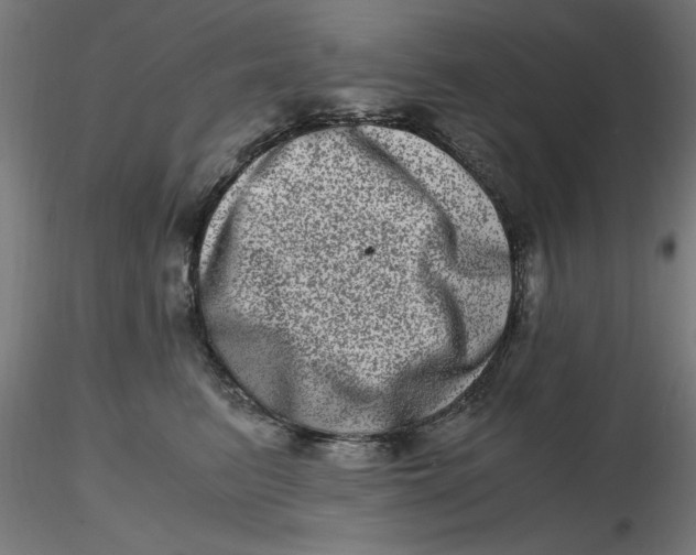 X0000116780615201001071238