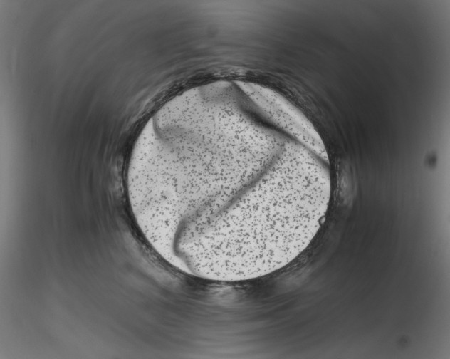 X0000116780616201001071238