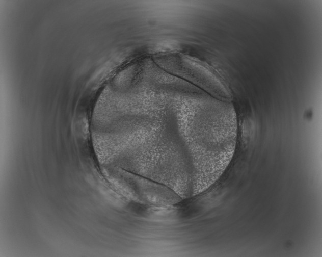 X0000116780617201001071238