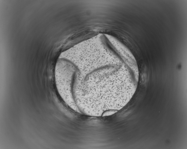 X0000116780620201001071238