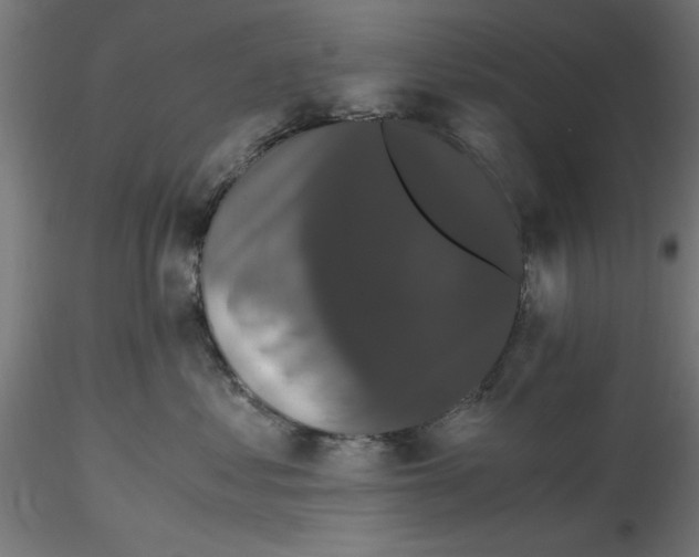 X0000116780621201001071238