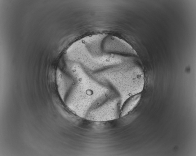 X0000116780623201001071238